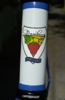 Strawberry head tube decal.  Designed by my wife Kelley Dodd.  www.krdpdx.com  Kelley gladly accepts freelance decal art design projects for small to large framebuilding companies.