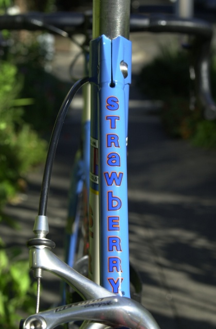 Andy's 2007 Cycle Oregon Special.