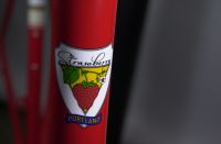 Strawberry head badge decal.  Proud to continue building bike frames of lugged Reynolds air hardening steel since 1971.