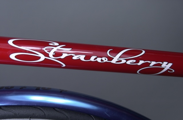 Strawberry down tube decal detail.