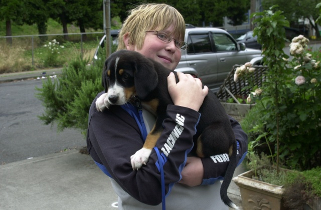 Little Miss UBI.  Ron and Denise Sutphin (UBI owners) just stopped by the Strawberry Garage to show off the new family member.  Riley is holding the Swiss Mountain puppy.  Now if he lifts her three times a day for the next year his football coach will be very happy.