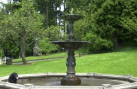 Spring 2007 Washington Park, Portland, Oregon.  Ollie gets a drink in the fountain.