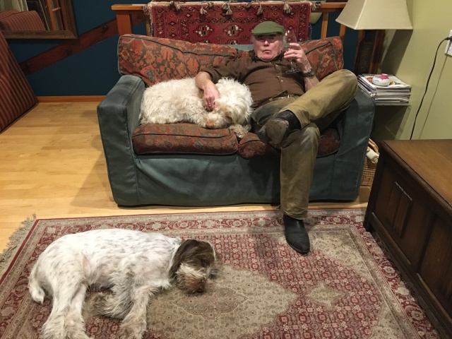 May 2020 Friday night Coronovirus lockdown mode.  Me on the couch with wine in one hand and an arm around our six year old Spinone Italiano Alba while our new puppy Fausto (Fausto Coppi who is probably the most famous and infamous Italian racing cyclist was born-raised-buried in Piedmont and the Spinone breed originated in the Piedmont region of northwest Italy thus the link.)  does his best to hold the rug down up in Kelley's office.