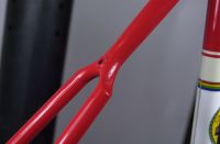 Strawberry design wishbone casting sporting a lovely red paint job on David's frameset.