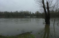Thanksgiving weekend 2016.  Willamette River higher than flood stage 16 with the Wheatland Ferry tethered on the westside of the river which was our lunch destination.